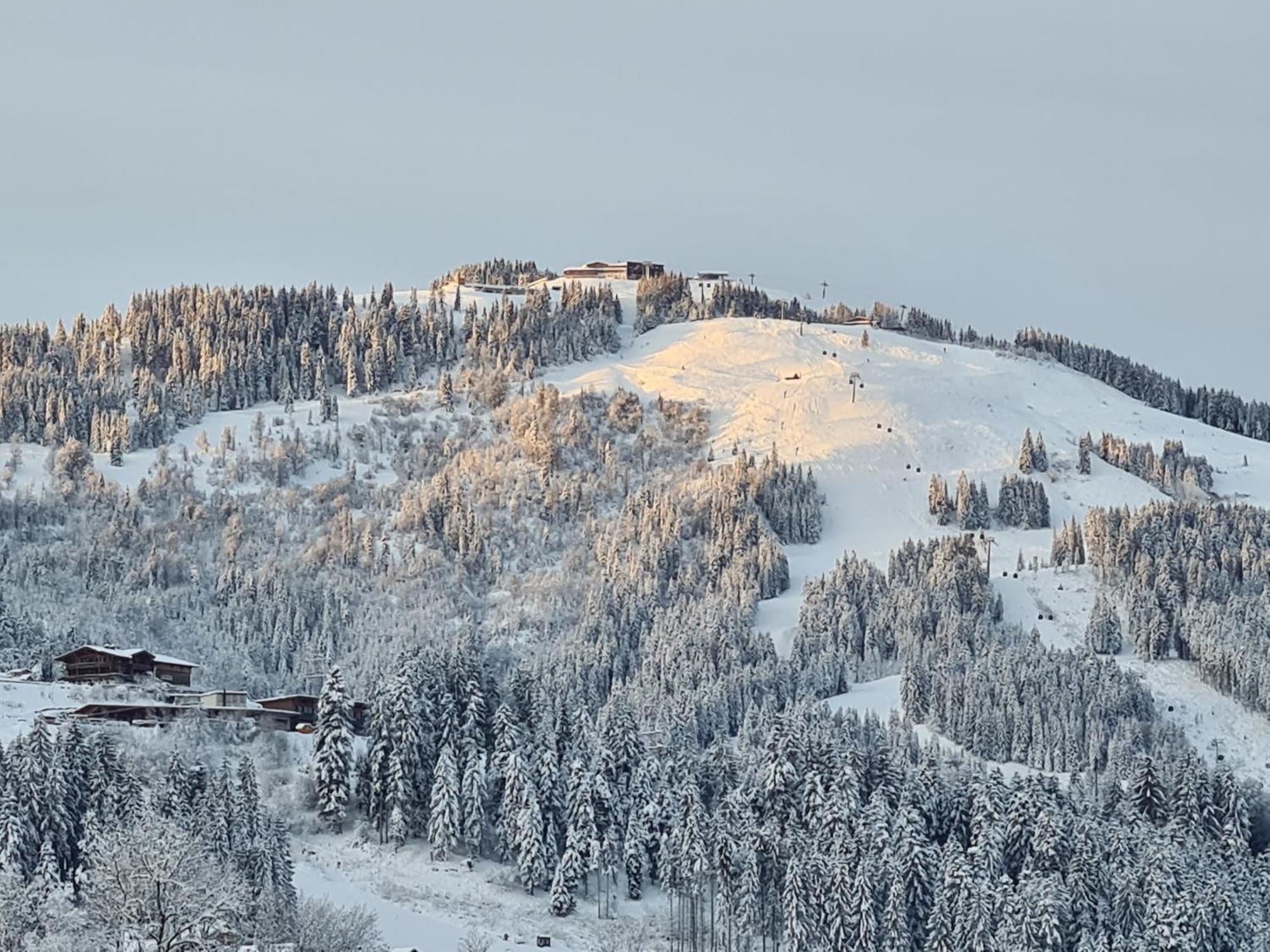 Going Easy Apartment Going am Wilden Kaiser Luaran gambar
